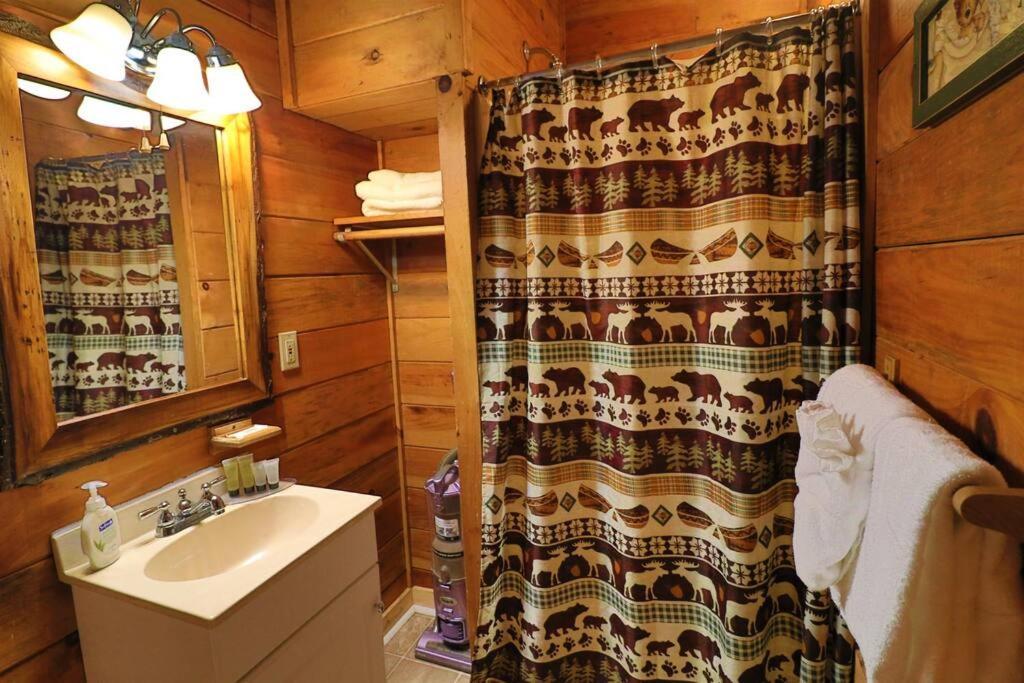 Alpine Mountain Sweetheart Cabin Jacuzzi #6 Хелън Екстериор снимка